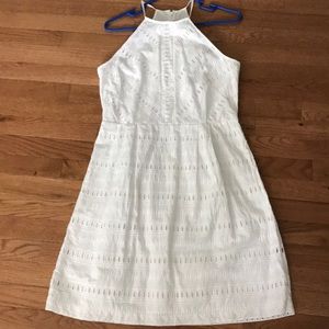 LAST CALL! LOFT dress